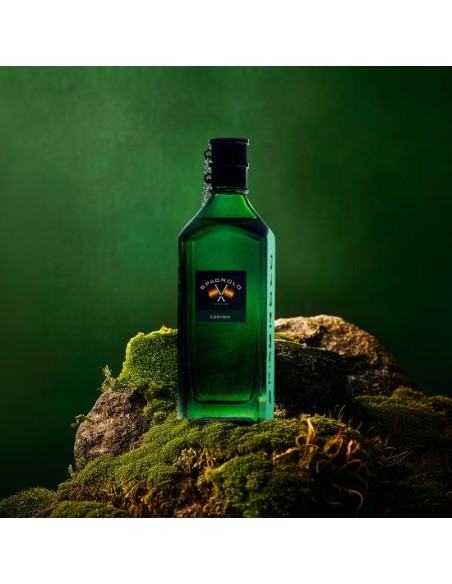 Spagnolo Esencia Eau de Toilette para hombre 150ml