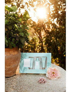 Amichi Sensual Flower Estuche de Regalo para Mujer 2