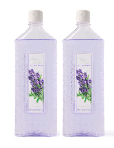 Pack Agua Fresca De Ruy...