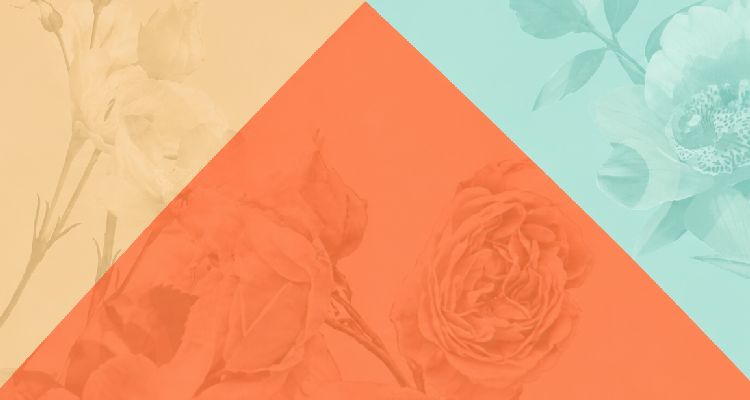 Category Banner Mobile