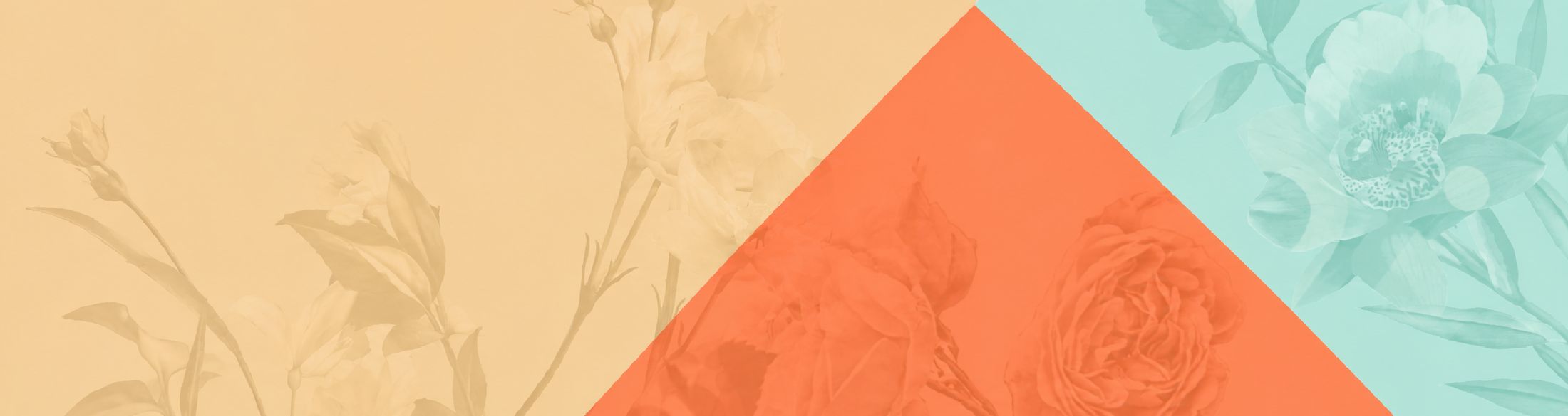 Category Banner PC